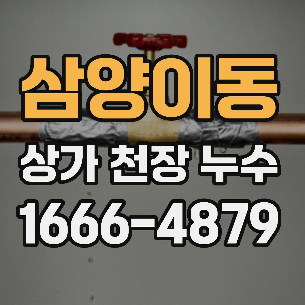 삼양이동 상가 천장 누수