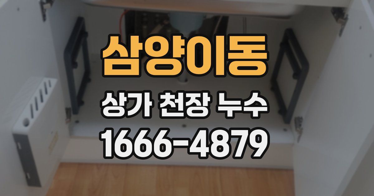 삼양이동 상가 천장 누수