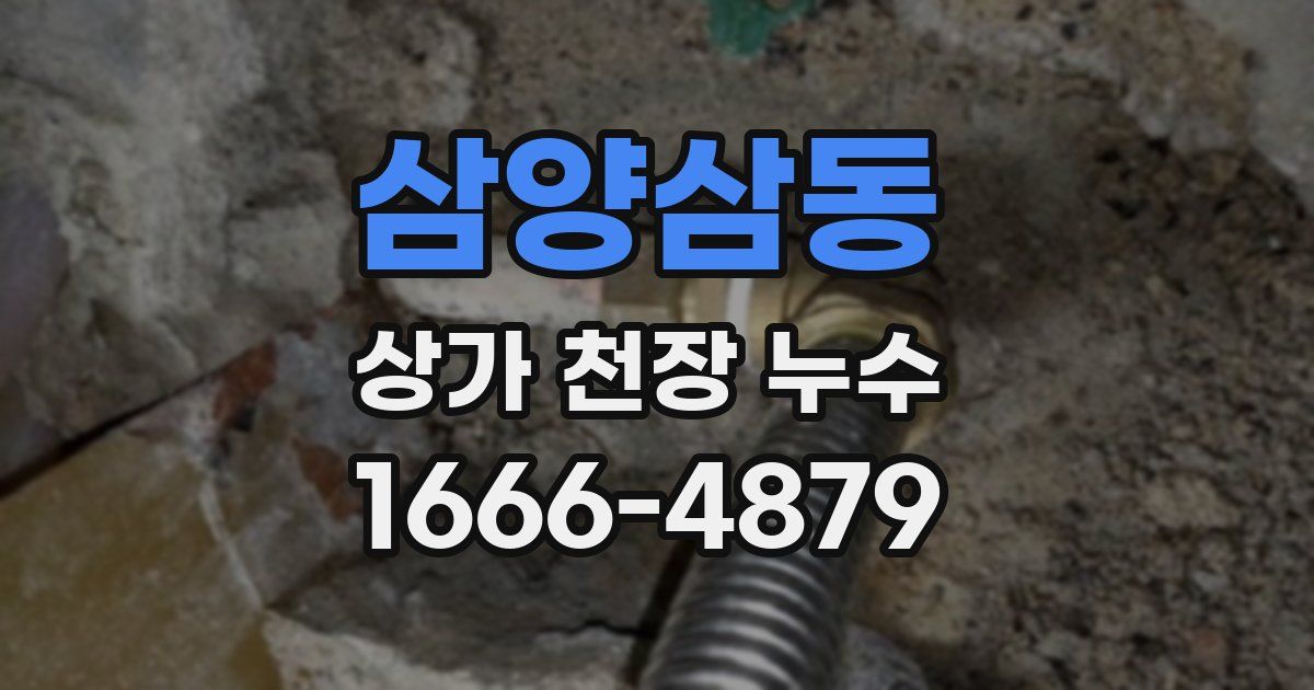 삼양삼동 상가 천장 누수