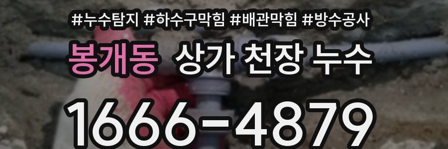 봉개동 상가 천장 누수