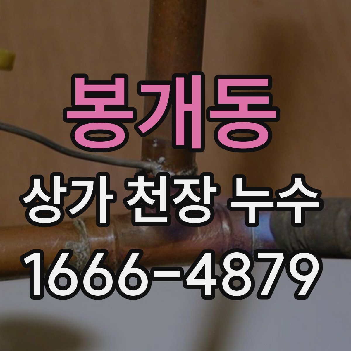봉개동 상가 천장 누수