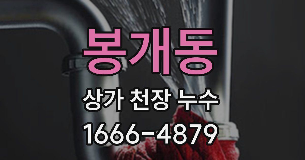 봉개동 상가 천장 누수