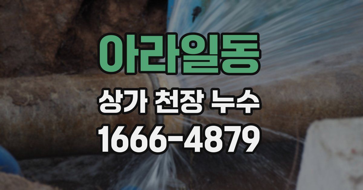 아라일동 상가 천장 누수