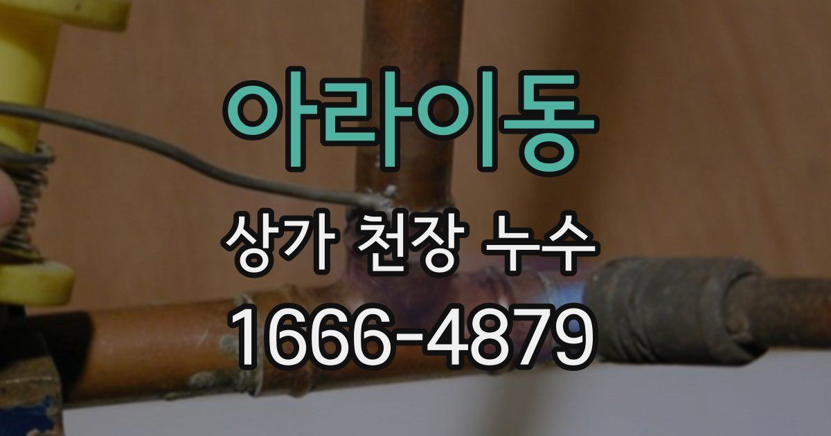 아라이동 상가 천장 누수