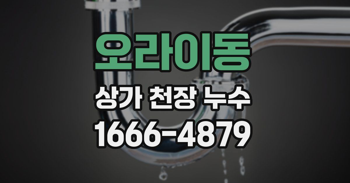 오라이동 상가 천장 누수