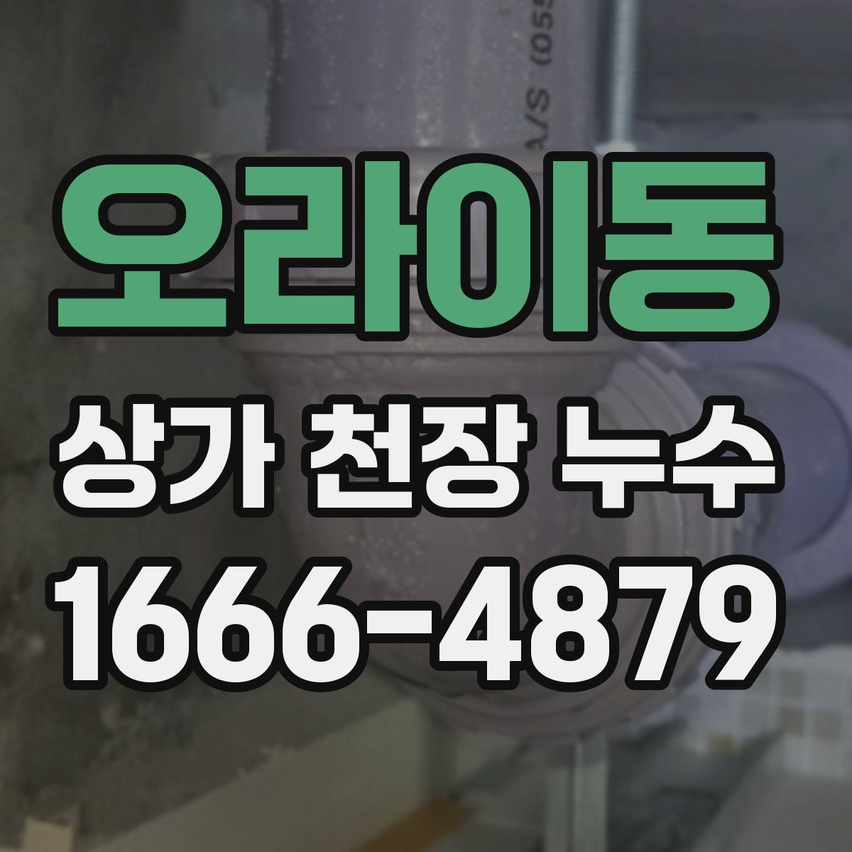 오라이동 상가 천장 누수