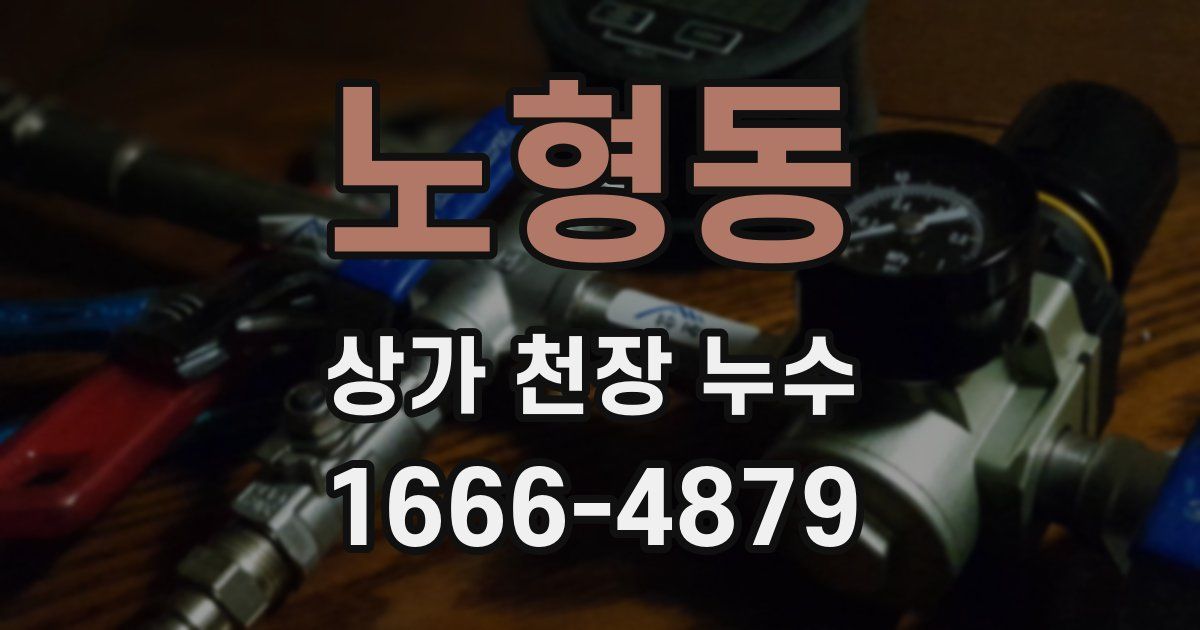 노형동 상가 천장 누수