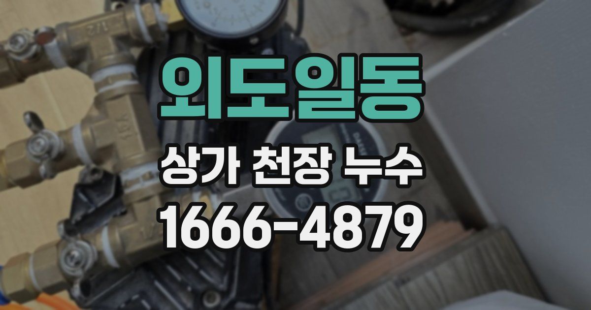 외도일동 상가 천장 누수