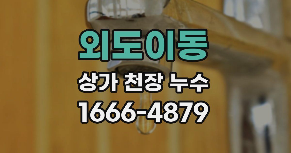 외도이동 상가 천장 누수