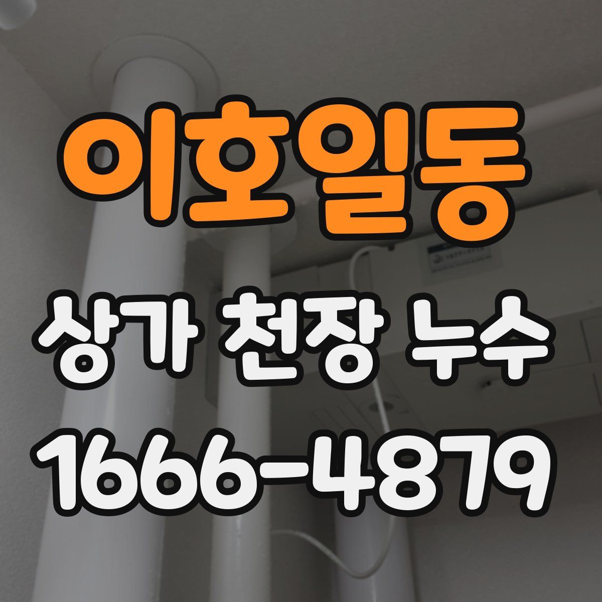 이호일동 상가 천장 누수