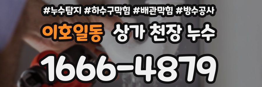 이호일동 상가 천장 누수