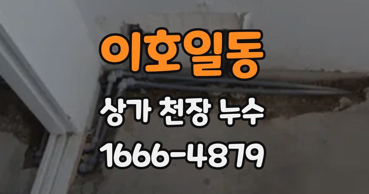 이호일동 상가 천장 누수