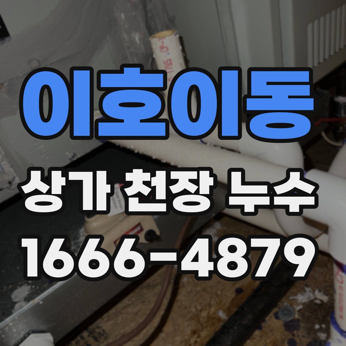 이호이동 상가 천장 누수