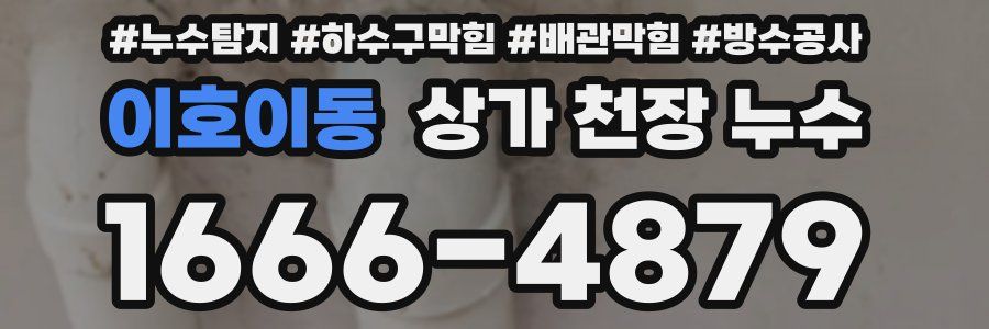 이호이동 상가 천장 누수