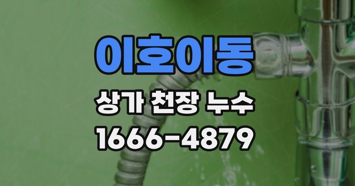 이호이동 상가 천장 누수