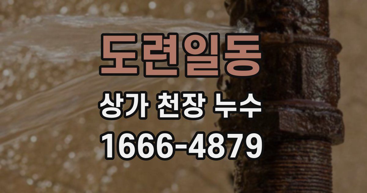 도련일동 상가 천장 누수