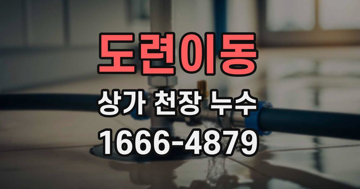 도련이동 상가 천장 누수