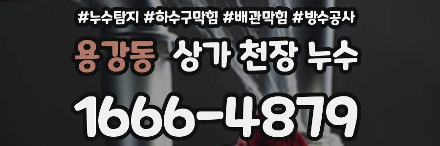 용강동 상가 천장 누수