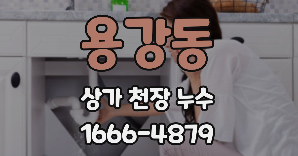 용강동 상가 천장 누수