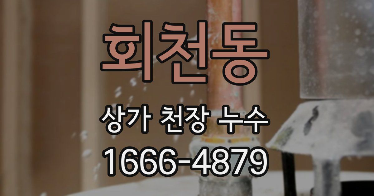 회천동 상가 천장 누수