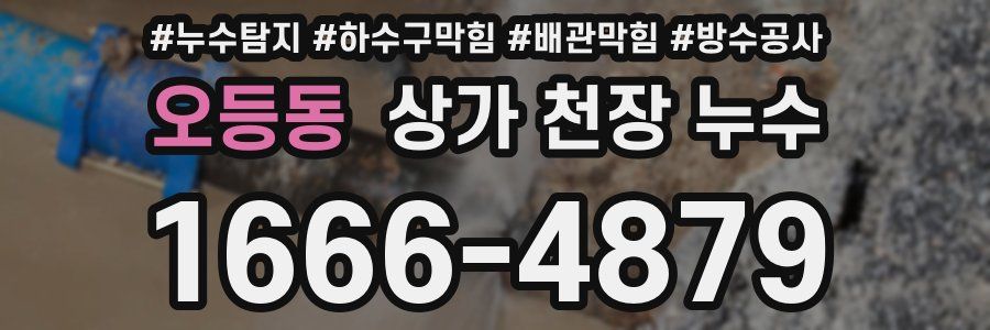 오등동 상가 천장 누수