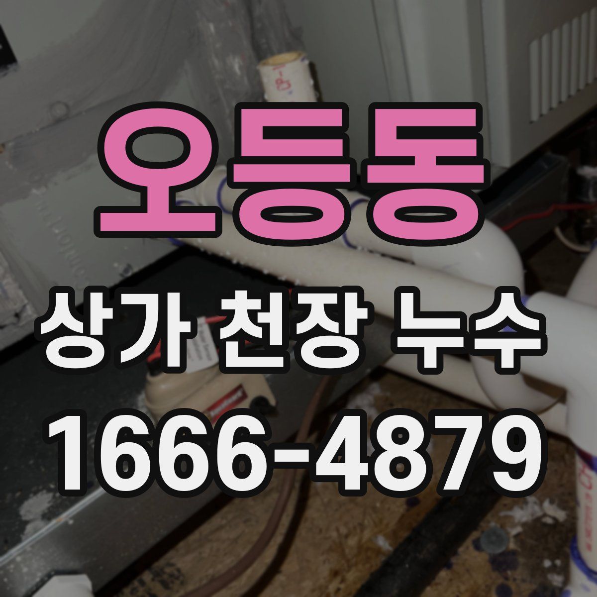 오등동 상가 천장 누수