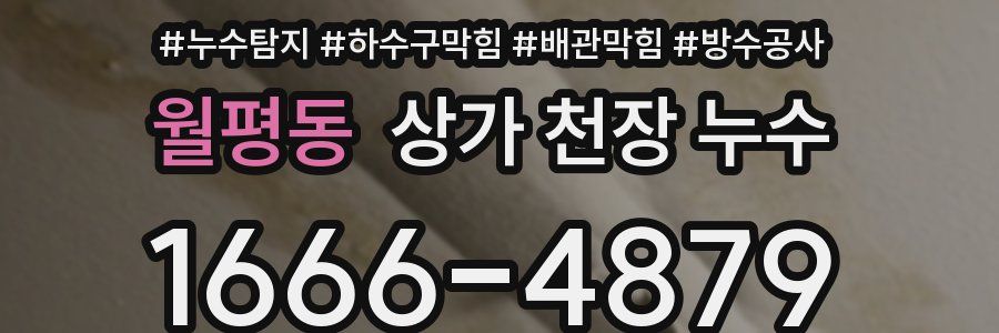 월평동 상가 천장 누수