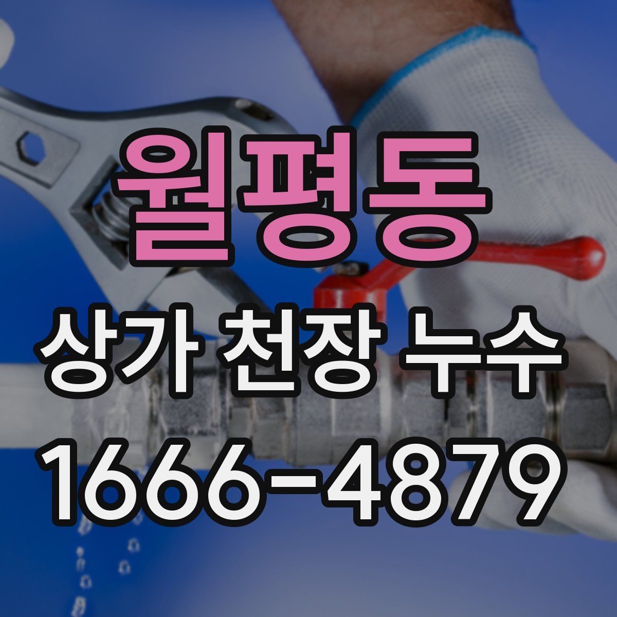 월평동 상가 천장 누수
