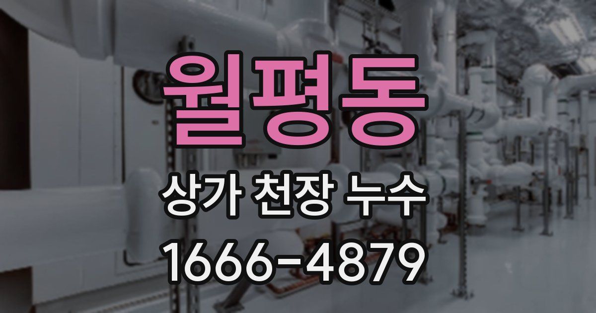 월평동 상가 천장 누수