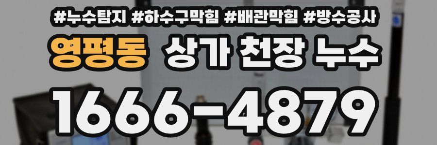 영평동 상가 천장 누수