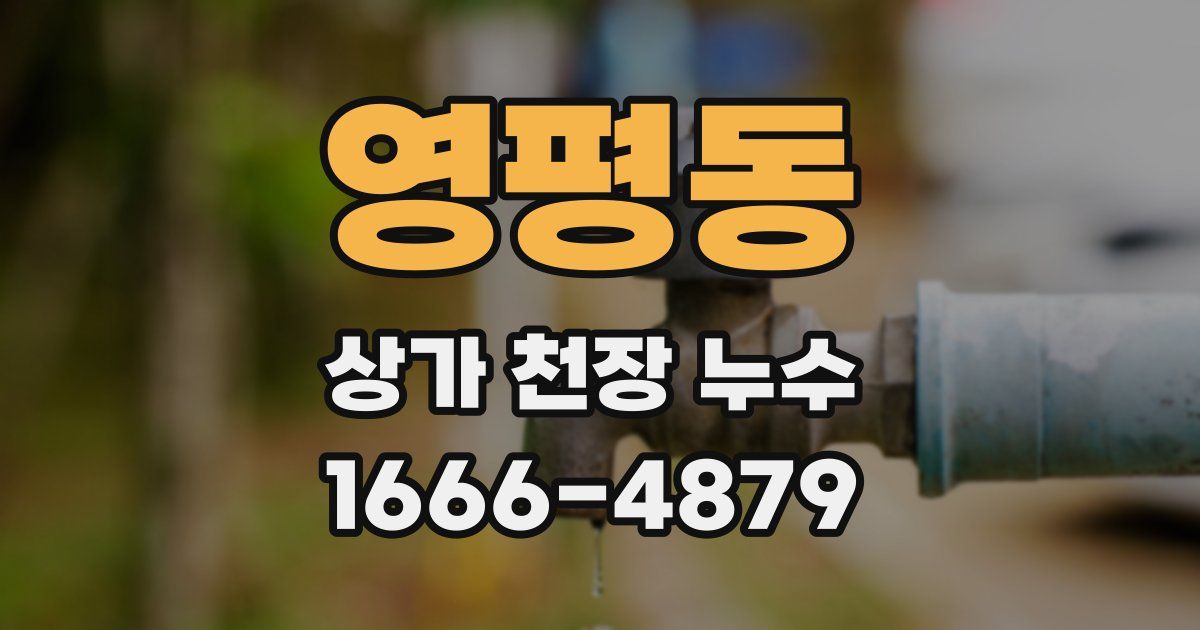 영평동 상가 천장 누수