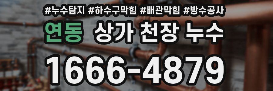 연동 상가 천장 누수