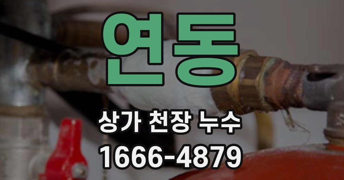 연동 상가 천장 누수