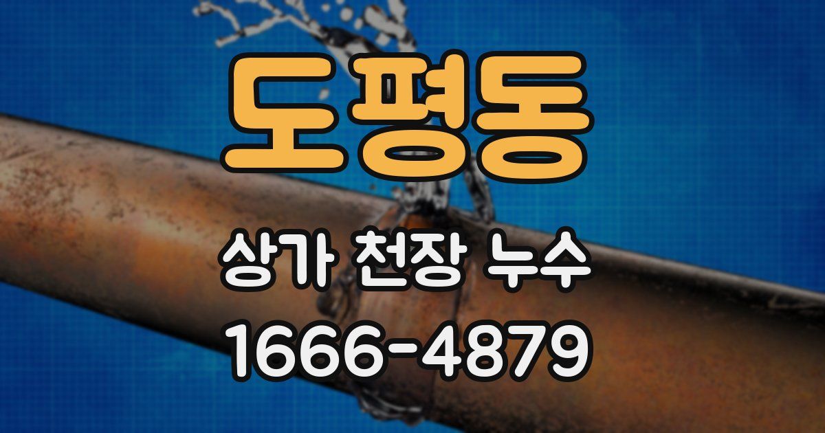 도평동 상가 천장 누수