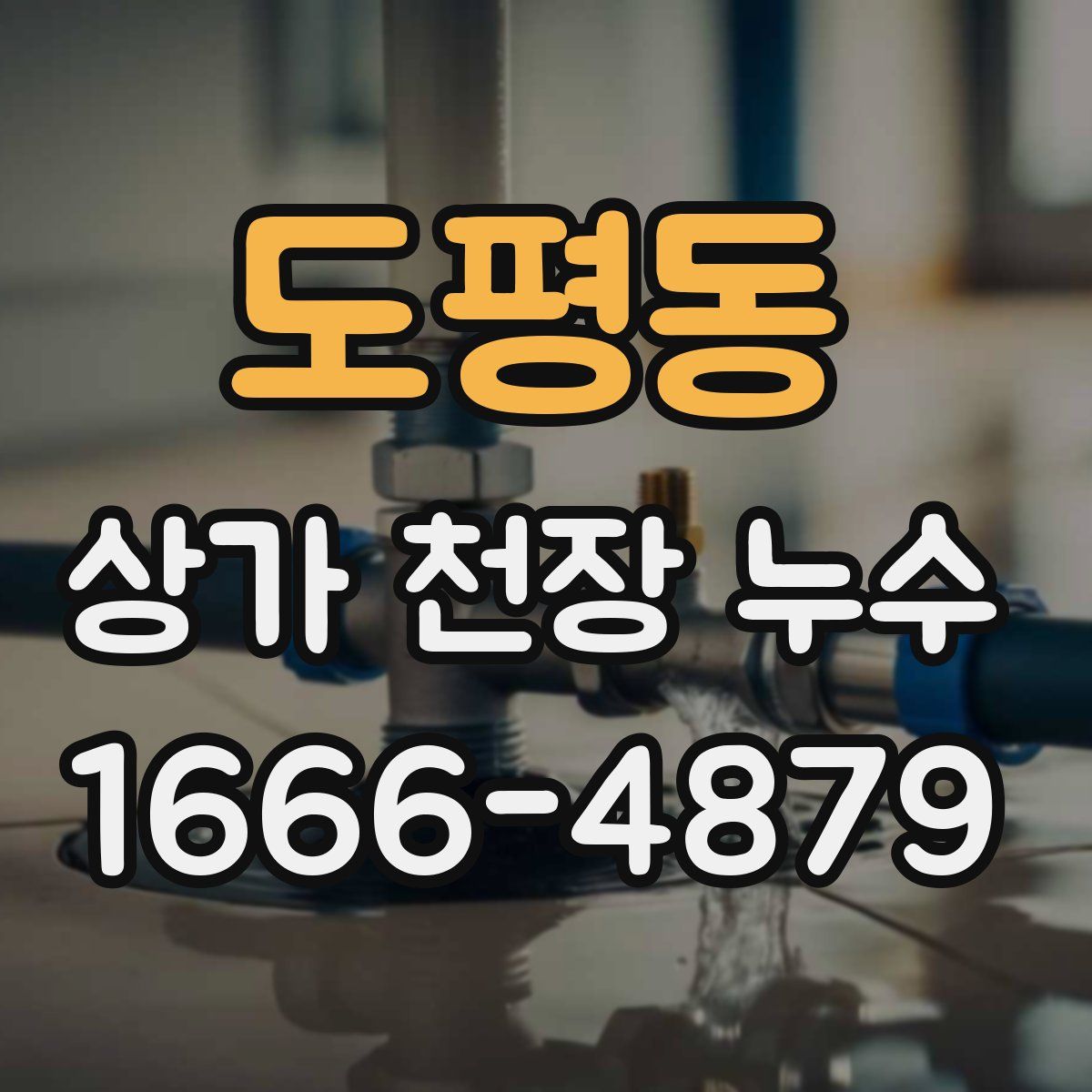 도평동 상가 천장 누수