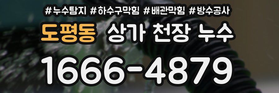 도평동 상가 천장 누수