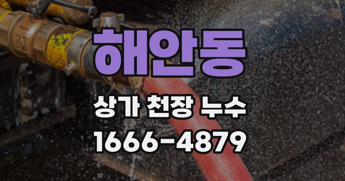 해안동 상가 천장 누수