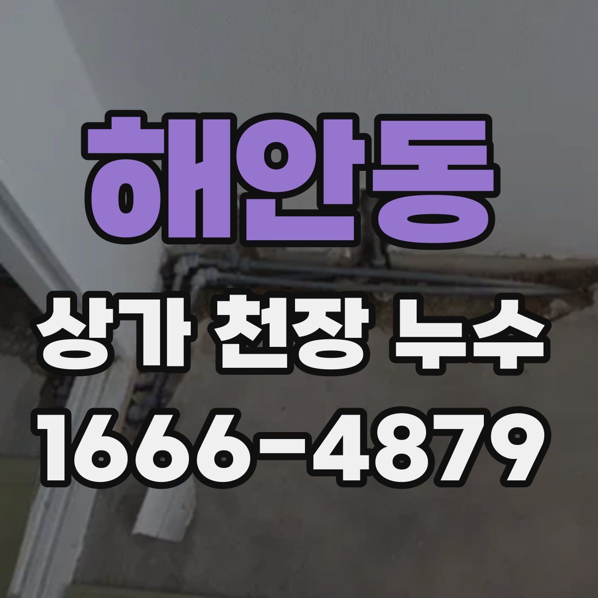 해안동 상가 천장 누수