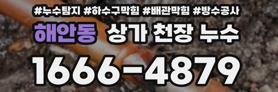 해안동 상가 천장 누수