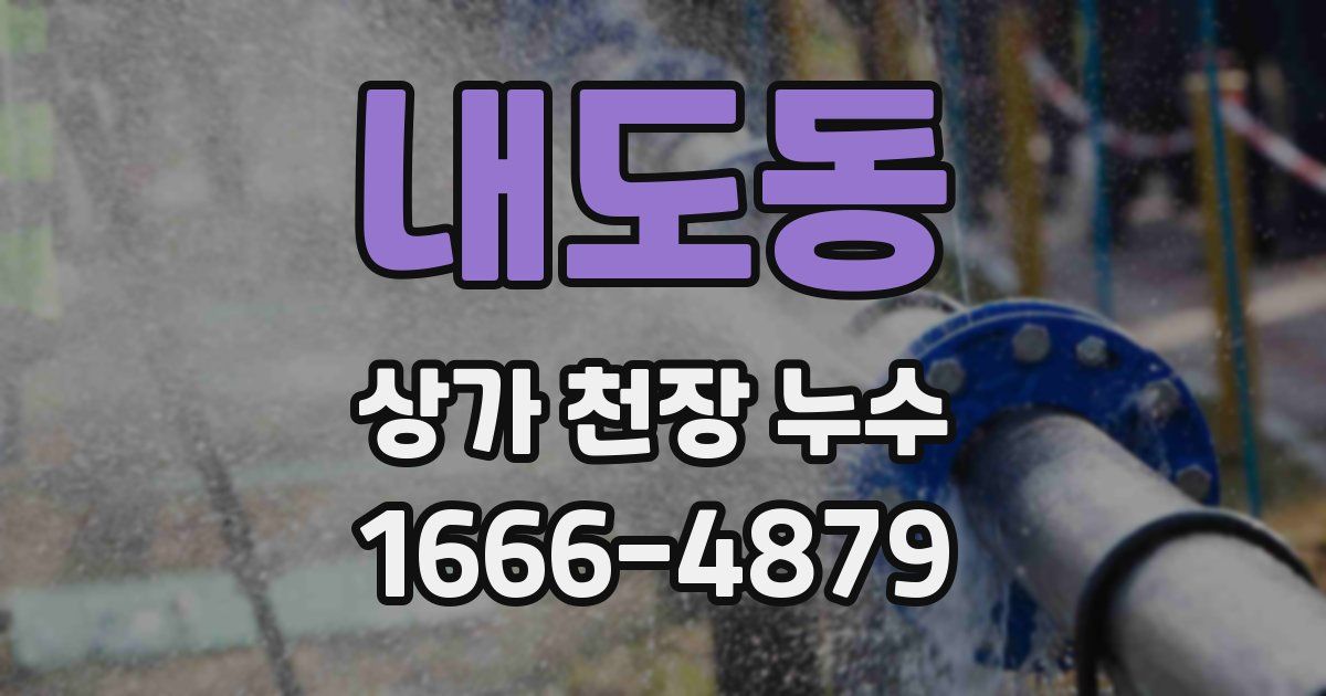 내도동 상가 천장 누수