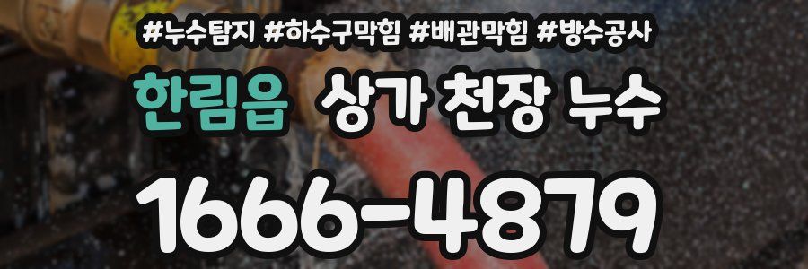 한림읍 상가 천장 누수