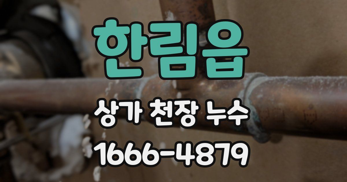 한림읍 상가 천장 누수