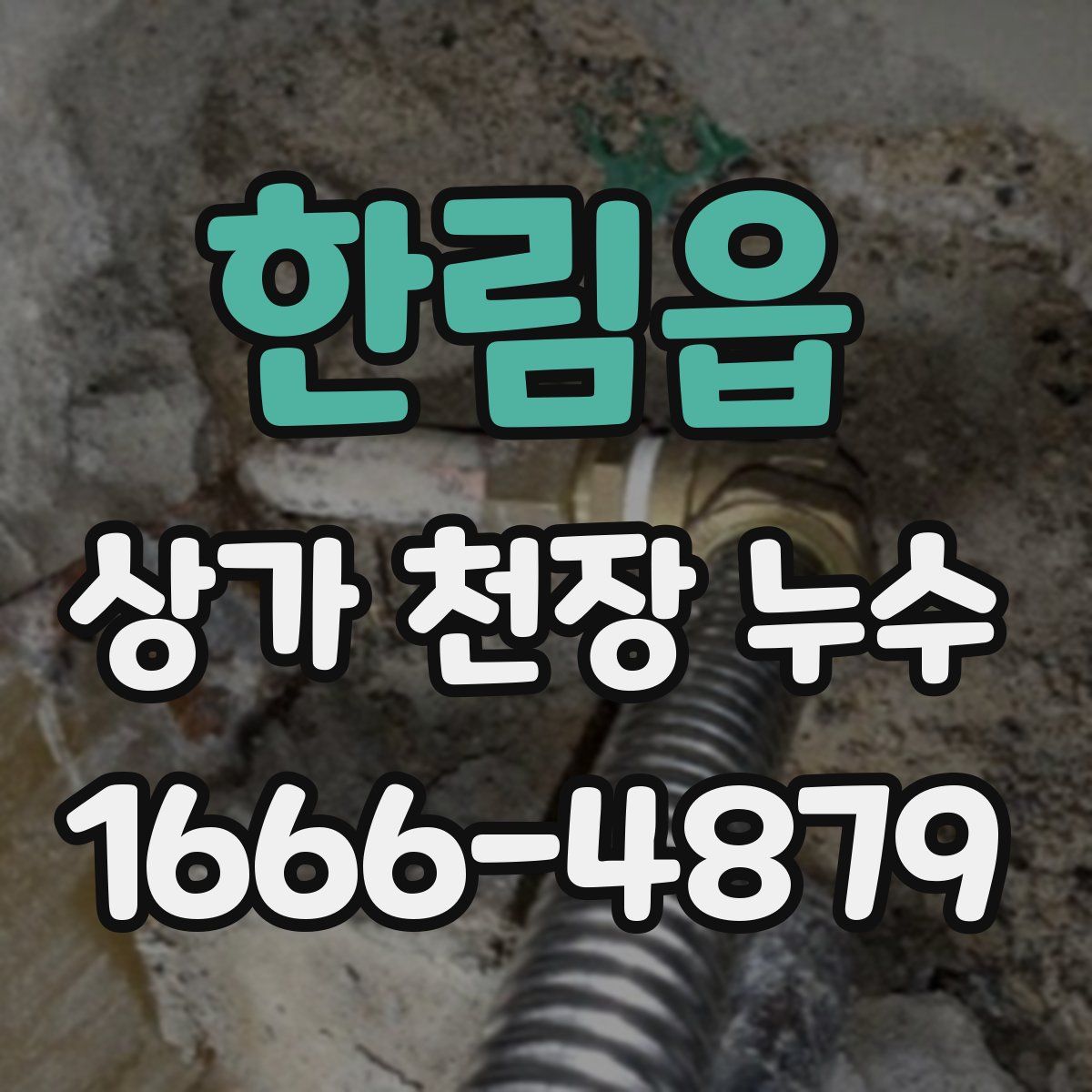 한림읍 상가 천장 누수