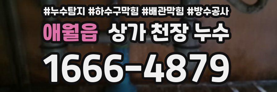 애월읍 상가 천장 누수