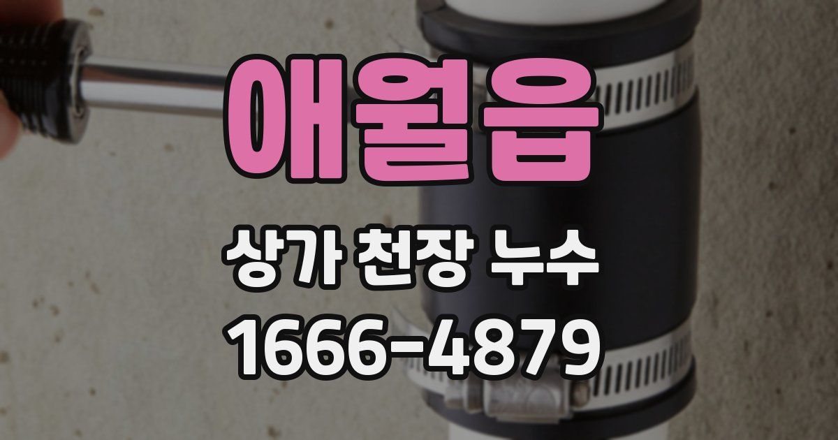 애월읍 상가 천장 누수