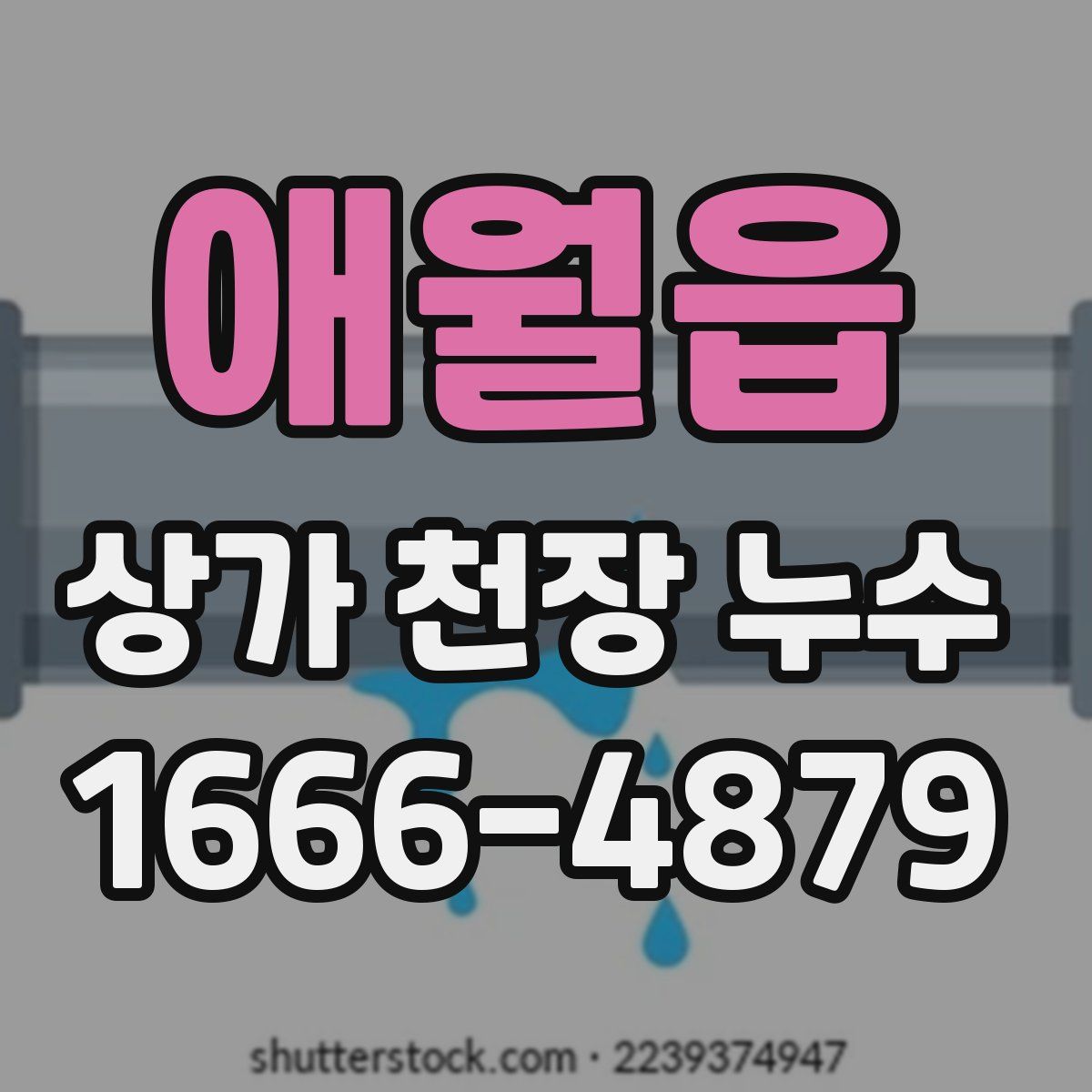 애월읍 상가 천장 누수