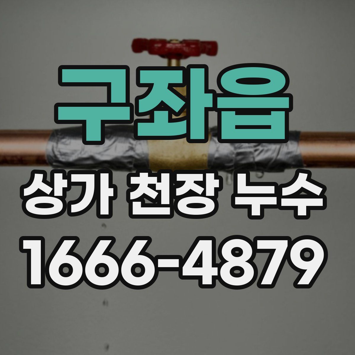 구좌읍 상가 천장 누수