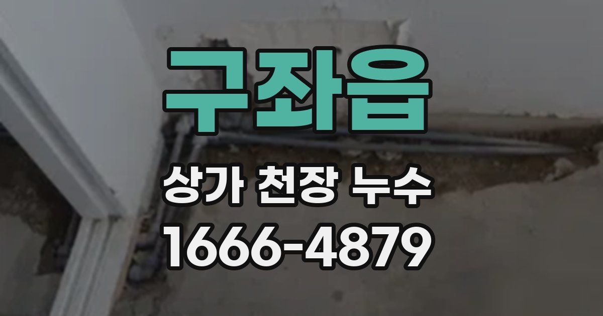 구좌읍 상가 천장 누수