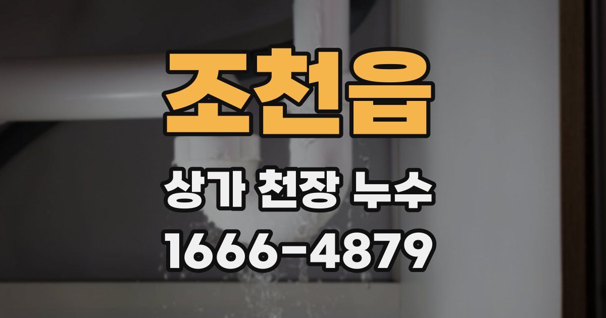 조천읍 상가 천장 누수