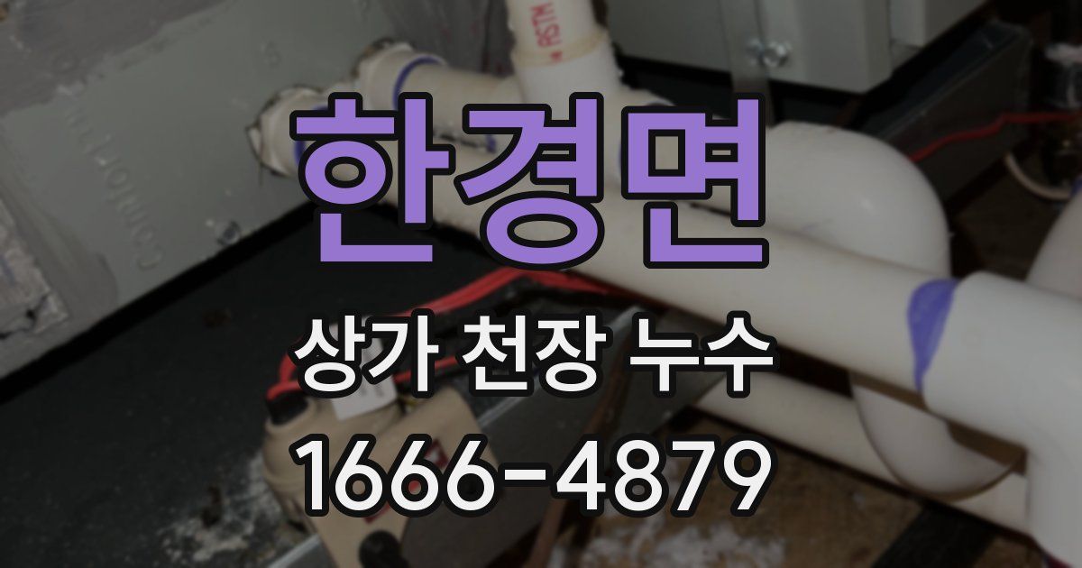 한경면 상가 천장 누수